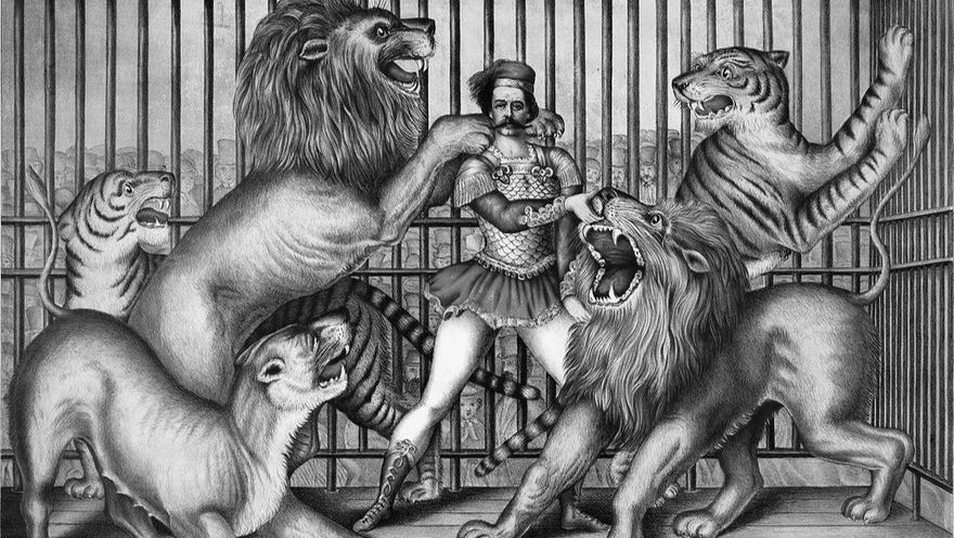 A lion tamer in a cage holding off several lions with a remarkably chilled-out expression